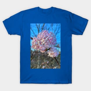 Very Vibrant Viburnum T-Shirt